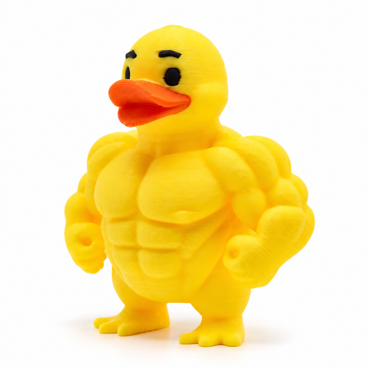 Muscular Duck
